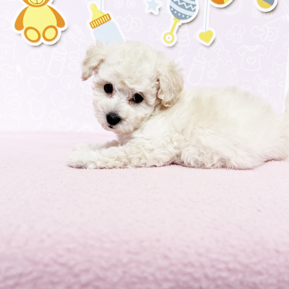 ６月になりました♪
